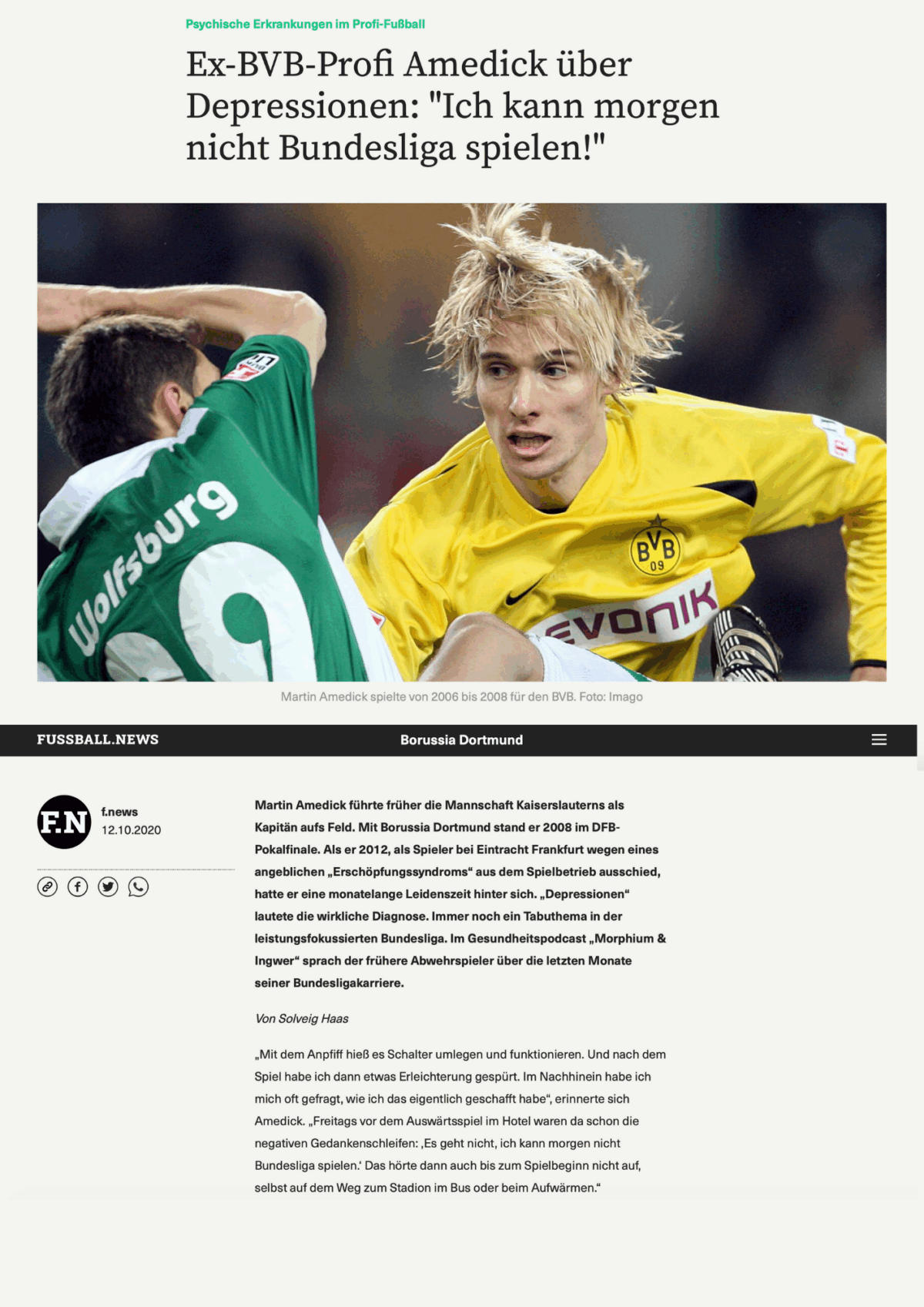 Screenshot des Artikels